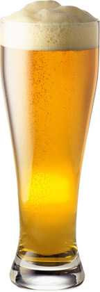 Пиво светлое «Товарищ Бендер»